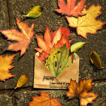 12 опаковки /ЛОТ Серия от есенни листа с цветни букви, креативна простота, материал на опаковки, хартия за съобщения, бележник за водене на записки