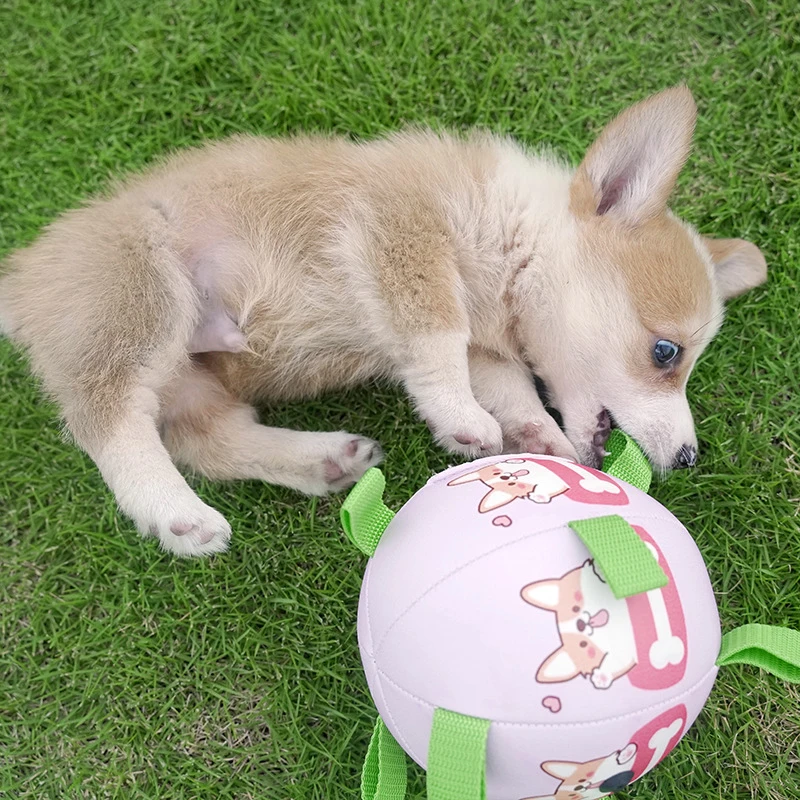 Интерактивна играчка за куче на футбола Футболна топка TPR Тренировочная играчка за кучета Улични топки за collie за големи кучета, Стоки за домашни любимци - 1