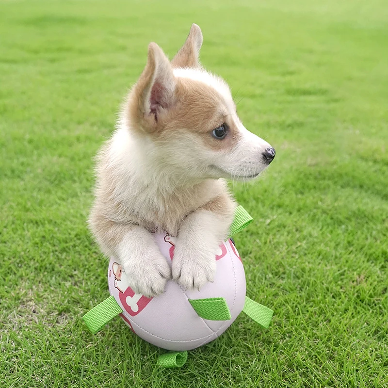 Интерактивна играчка за куче на футбола Футболна топка TPR Тренировочная играчка за кучета Улични топки за collie за големи кучета, Стоки за домашни любимци - 2